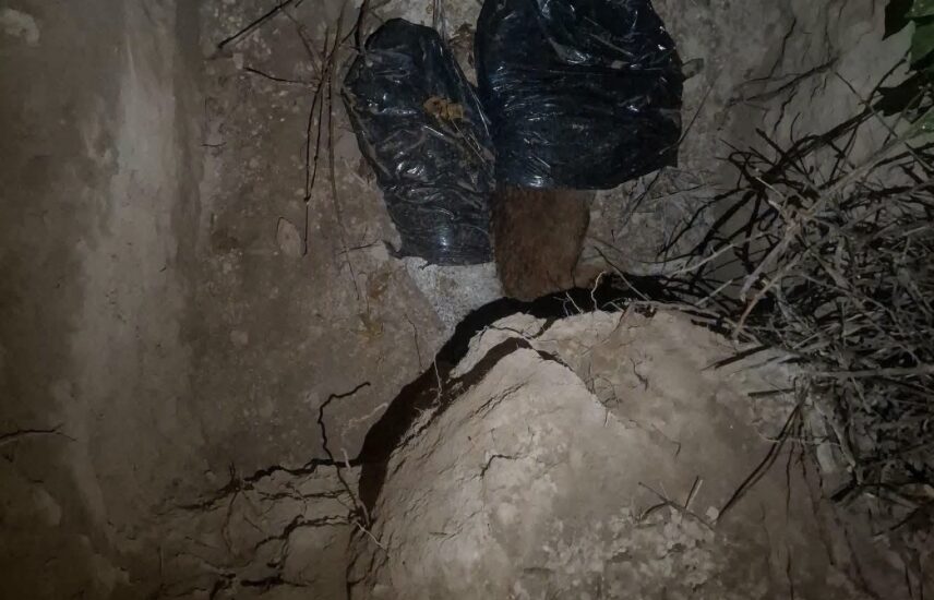 Buscaban a “Chilaquil” y encontraron dos fosas con restos de perros en Altepexi