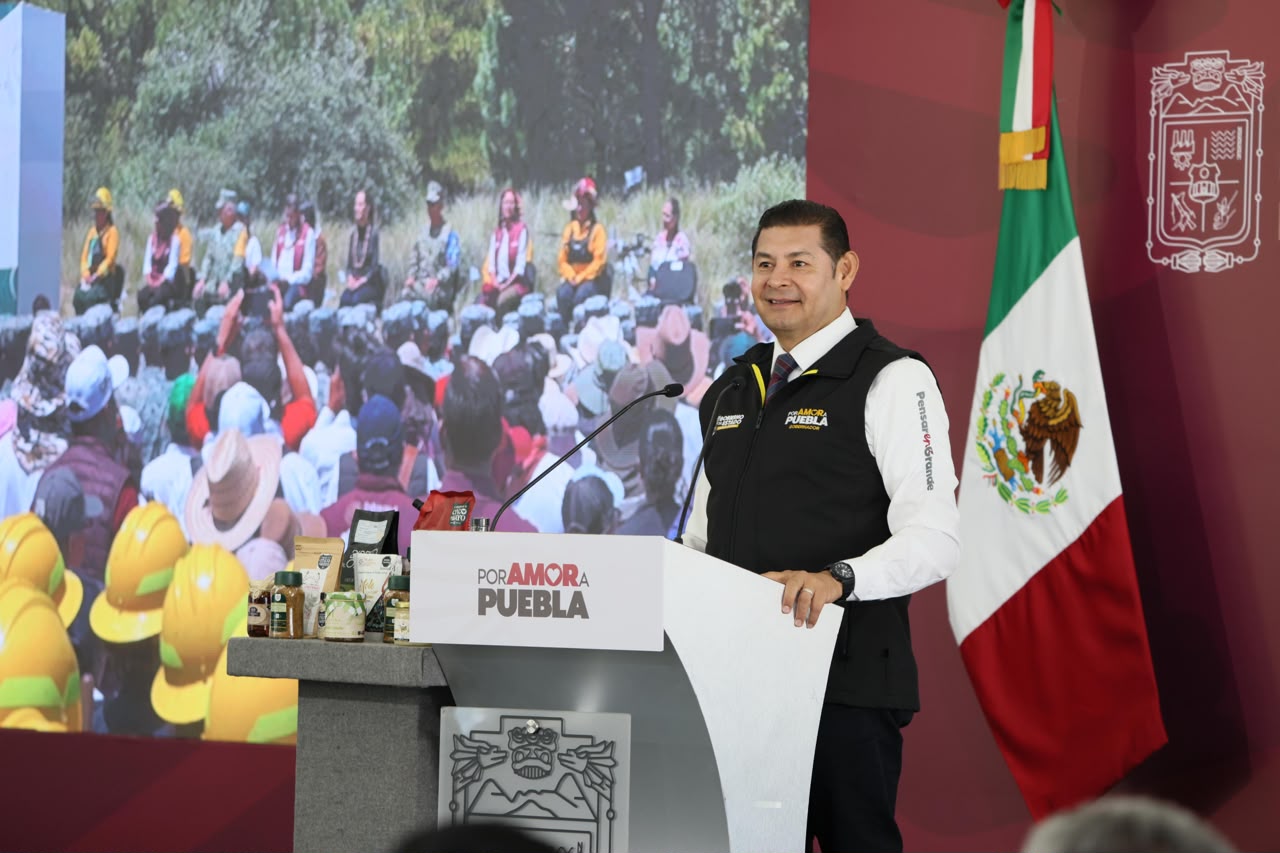 Gobierno estatal refuerza protección de bosques y garantiza vivienda a guardias forestales