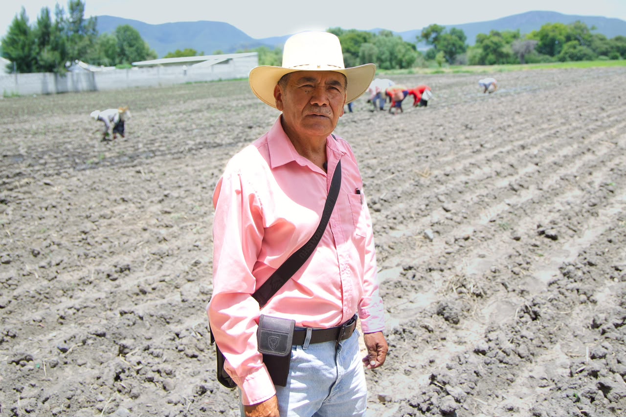 Puebla fortalece la producción de flor de cempasúchil Día de Muertos