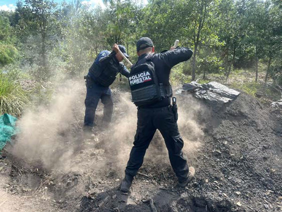 En distintas intervenciones, SSP realizó acciones para la preservación del patrimonio natural
