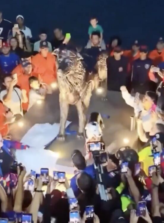 Homenajean con estatua a Tsunami, perro rescatista de Venezuela