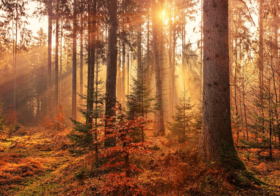 Equinoccio marca el inicio del otoño en México; los días comenzarán a ser más cortos