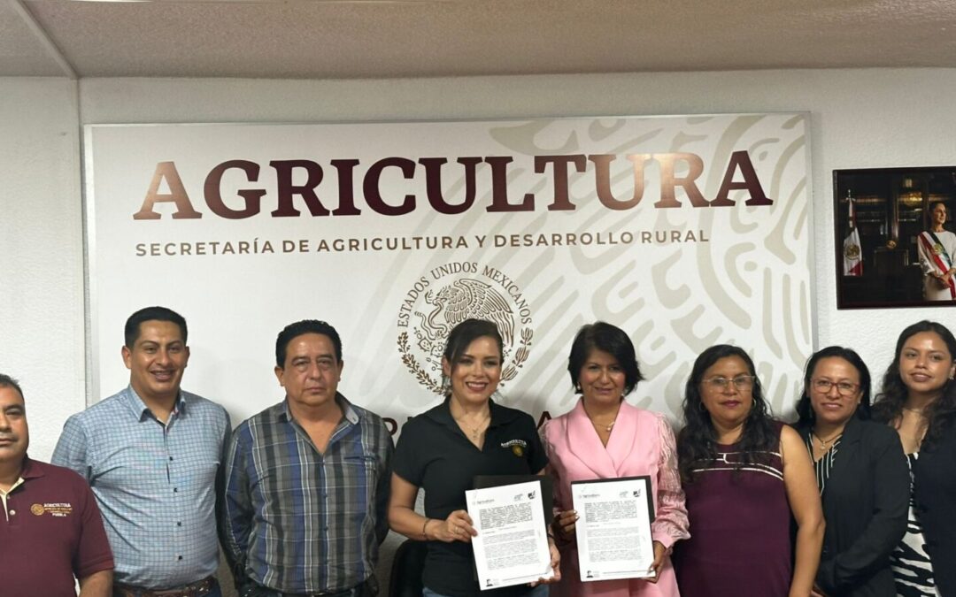 Formalizan UTH y SDR alianza para impulsar desarrollo en la región