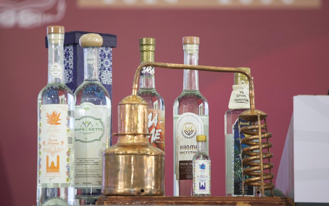 Gobierno del Estado impulsa a Puebla como potencia mezcalera