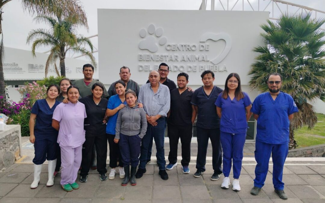 Fortalecen SEDIF y FGE capacitación en medicina veterinaria forense