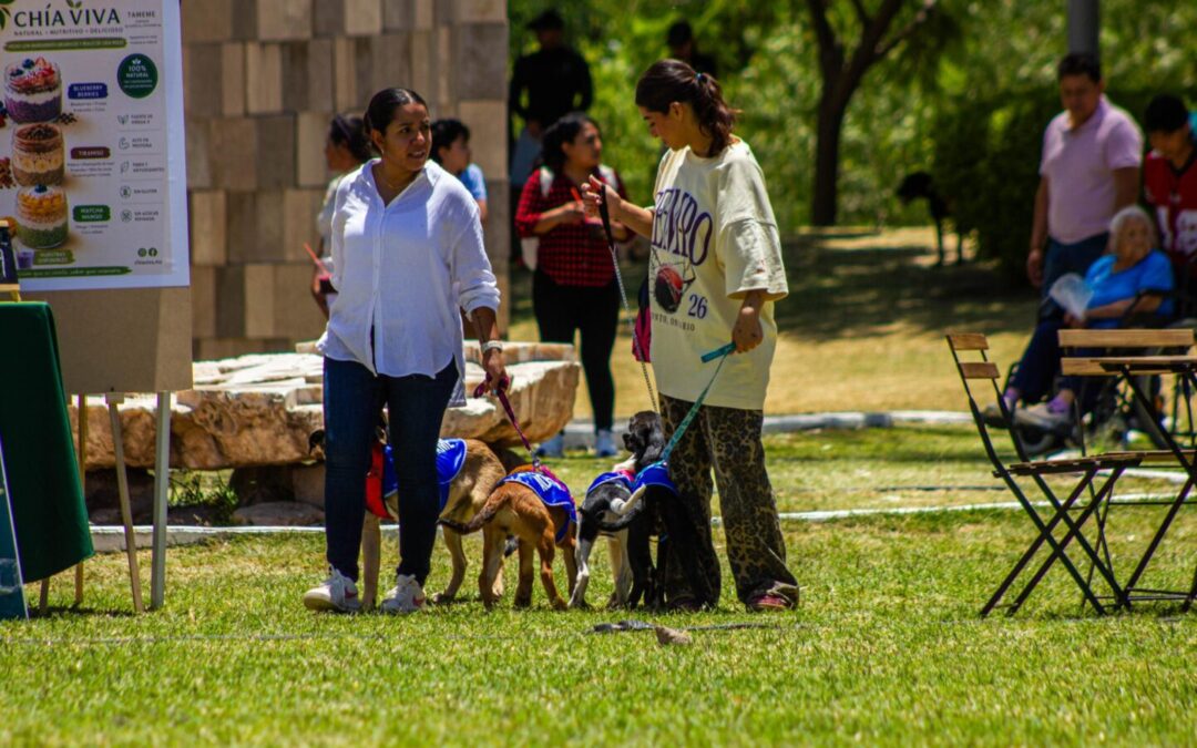 Gobierno del Estado fomenta el bienestar con segunda edición de Adopta Fest