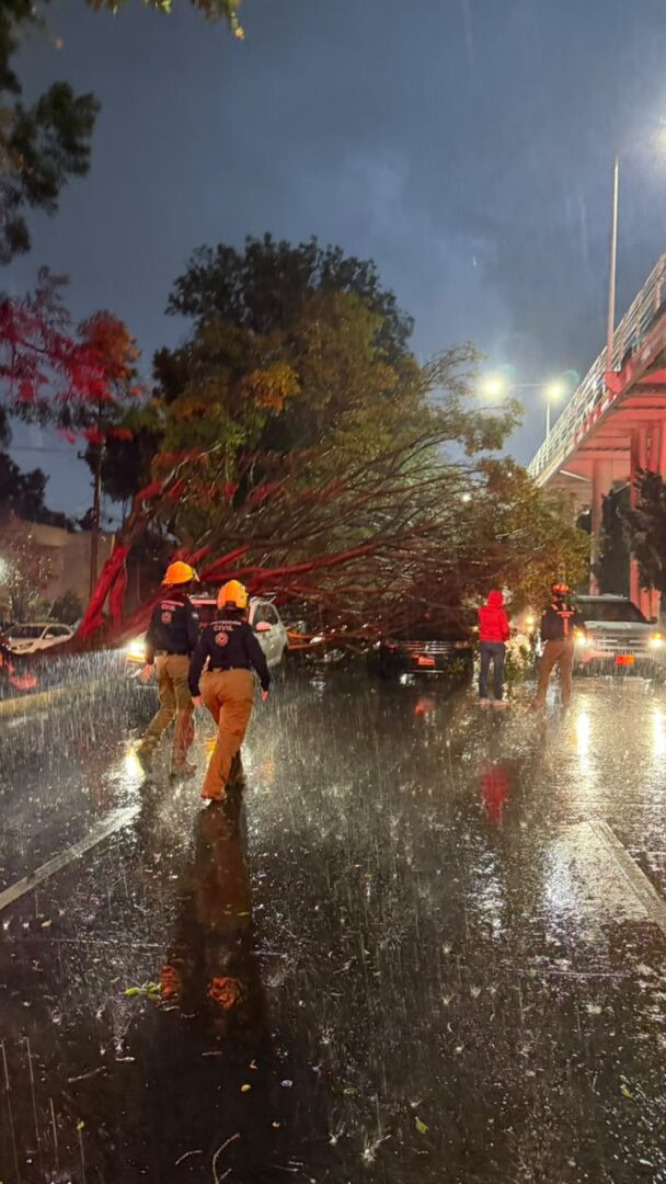 Tormenta con lluvia y granizo golpea Puebla; reportan inundaciones y caída de árboles
