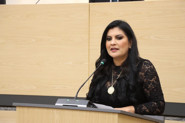 Diputada Delfina Pozos propone fortalecer la legalidad en los reglamentos municipales  