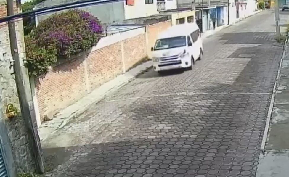 Indignación en Zacatelco: combi atropelló a un perro y continuó su camino