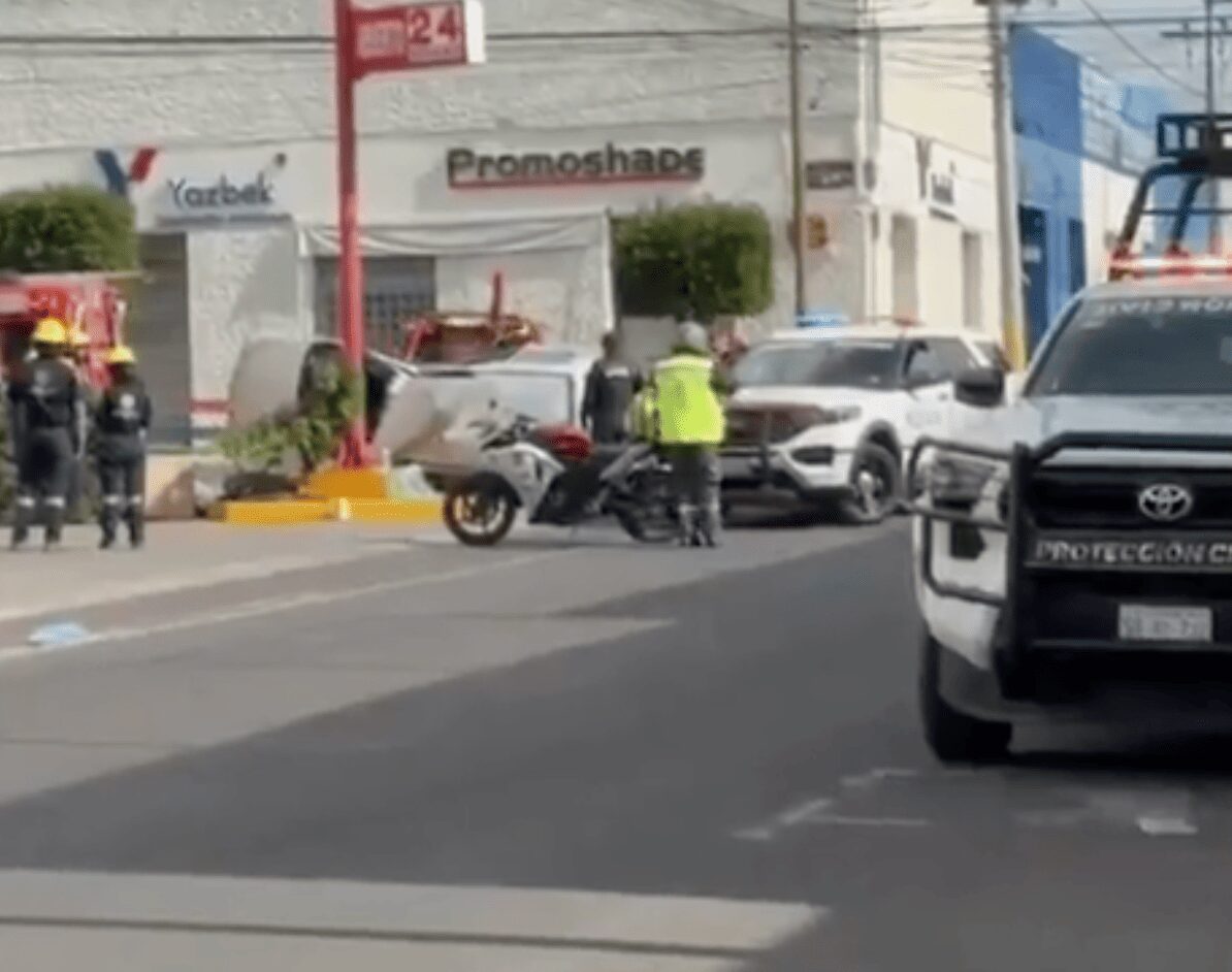 Tras varios intentos fallidos, aseguran al cocodrilo “Fugaz” en Puebla