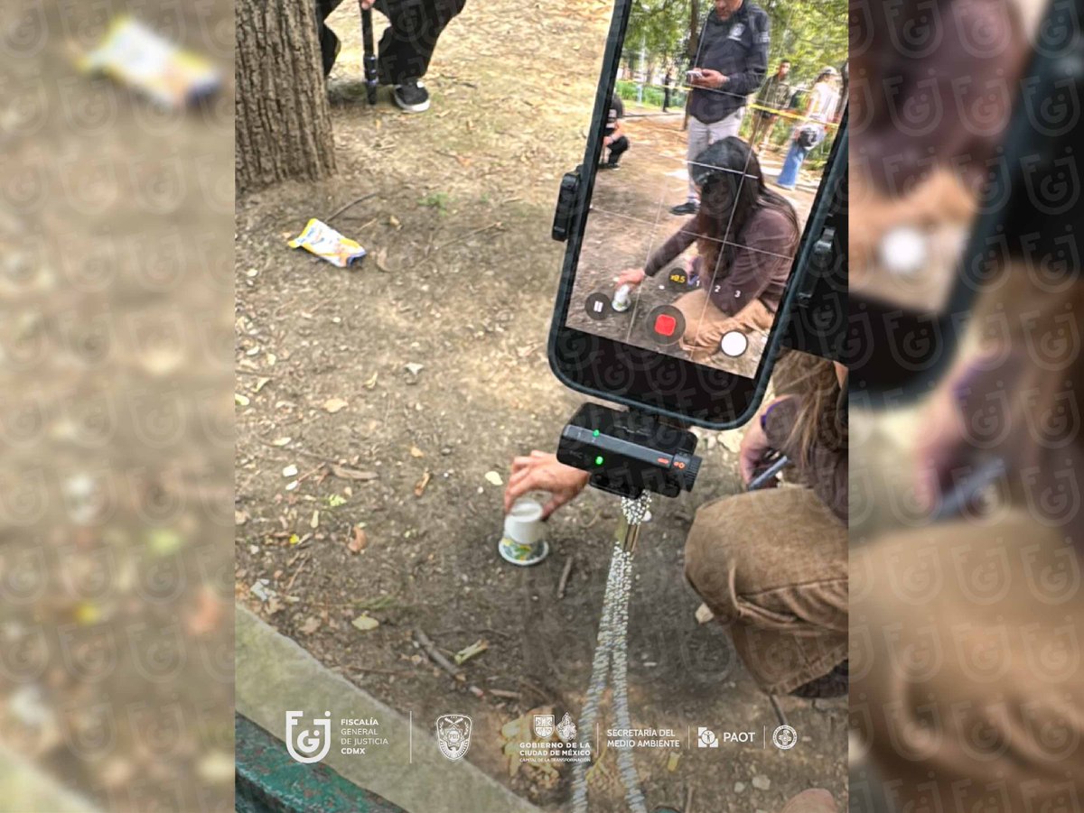 Investigan presunto envenenamiento de perros en Parque España; al menos dos murieron