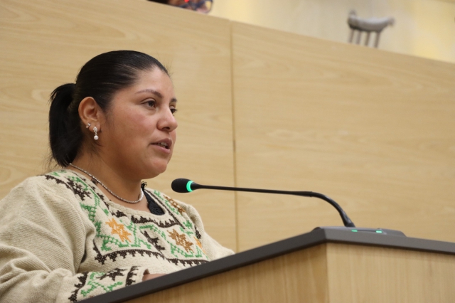 Presenta diputada Elisa Limon propuesta legislativa para fortalecer los módulos de medicina tradicional