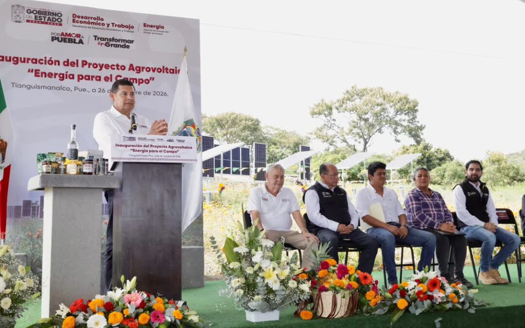 Primer sistema agrovoltaico del país en Puebla, Gobierno Estatal marca precedente