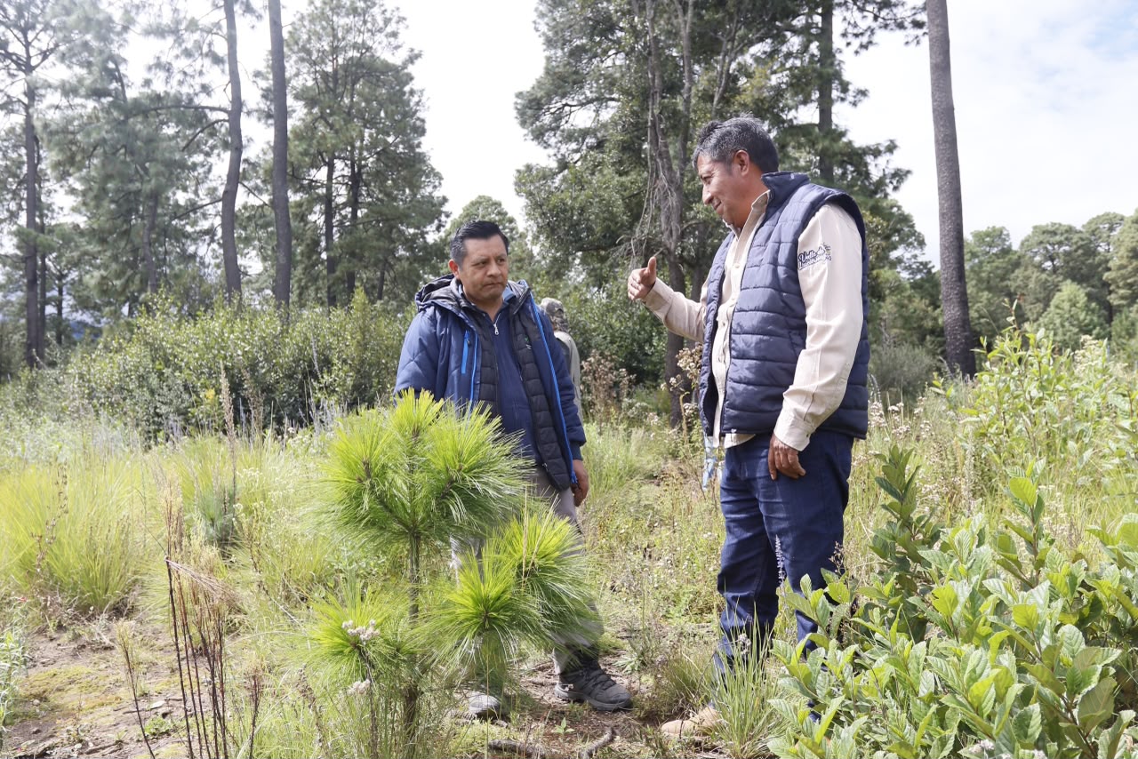 Puebla comparte experiencias científicas en producción agrícola, pecuaria, forestal y acuícola