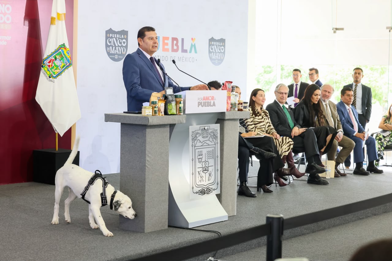 Puebla, ejemplo internacional de protección con la Ciudad de los Seres Sintientes